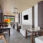 Vasok New 2025 Hotell