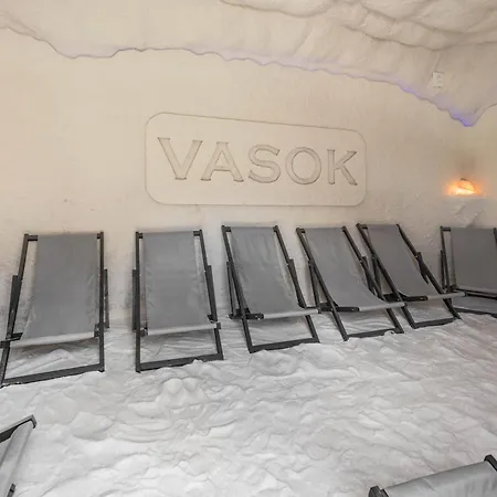 Vasok New 2025