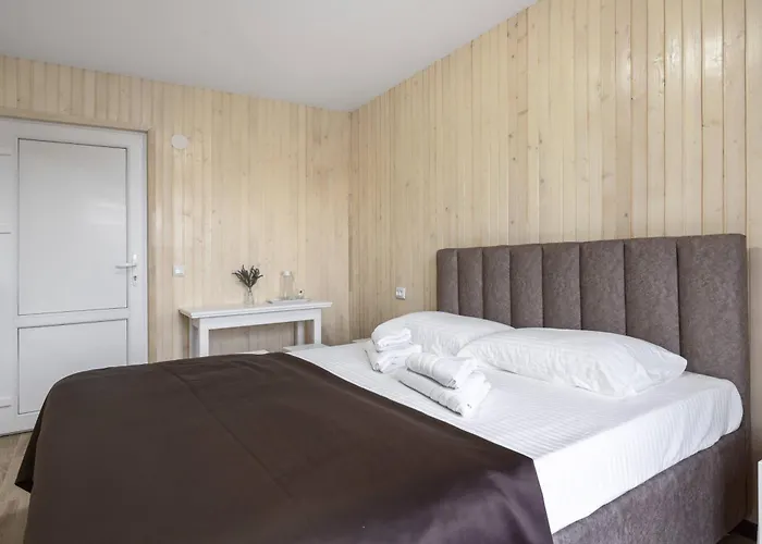 Vasok New 2025 Hotel