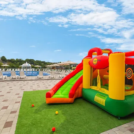 Vasok New 2025 Hotel