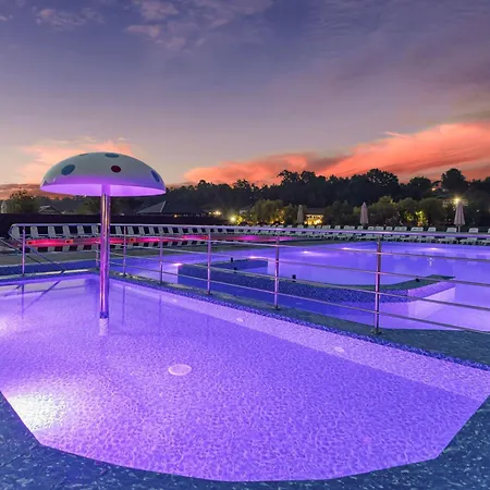 Vasok New 2025 * Solotvina