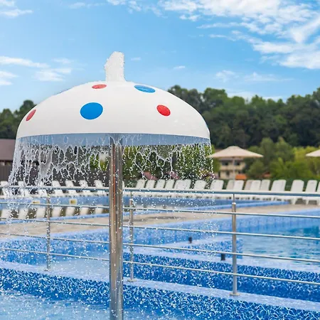 Vasok New 2025 Hotel Solotvina