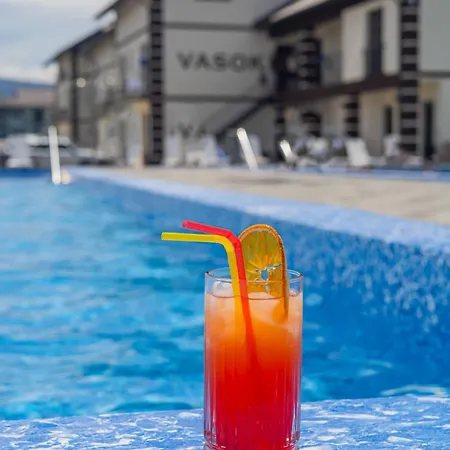 Vasok New 2025 Solotvina