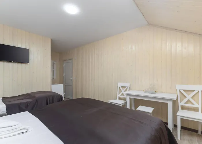 Vasok New 2025 Otel