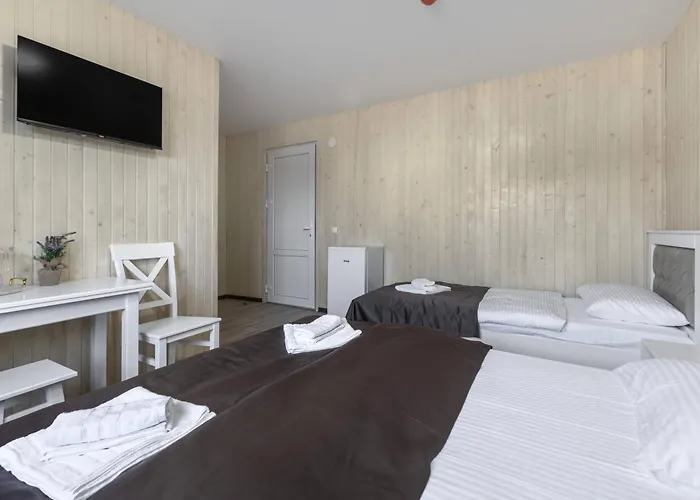 Vasok New 2025 Otel Solotvyno